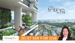 The Trilinq (D5), Condominium #203177811